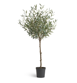 Олива Топиари Шар (серия Prime)