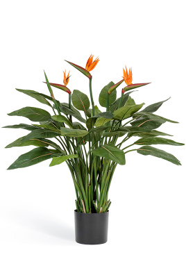 Стрелиция Королевская натуральная 130 см