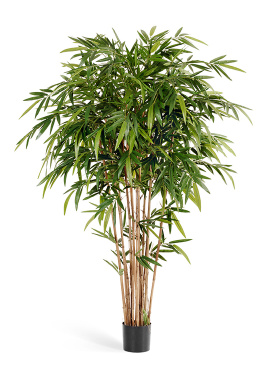 Бамбук Новый натуральный