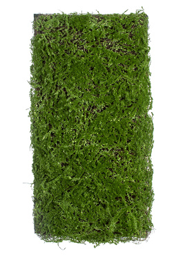 Мох Микс Рясковый-Сфагнум (полотно)