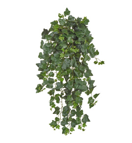 Английский плющ (серия FR - огнезащита)