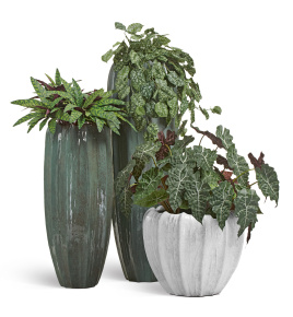 Сет № 109 - Композиция напольная в кашпо Treez Effectory Aura