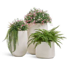 Сет № 111 - Композиция с альпийским разнотравьем в кашпо Treez Effectory Fine Rock