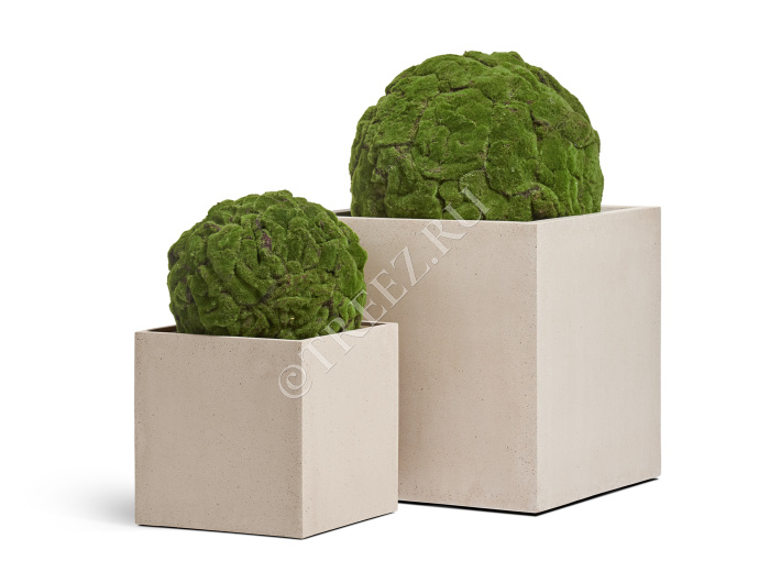 Шар из мха (Арт-объект) фото