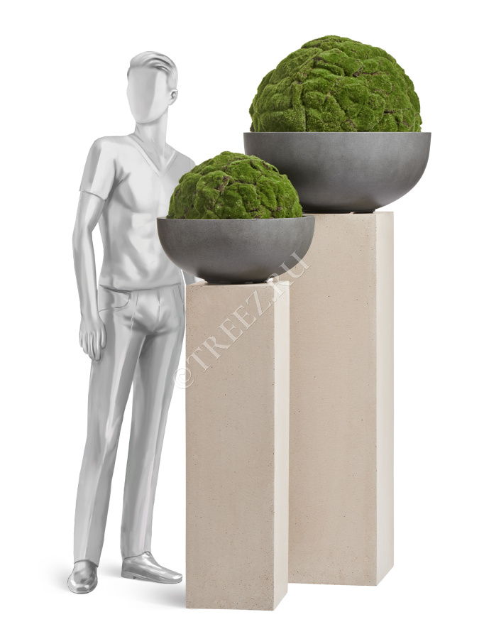 Шар из мха (Арт-объект) фото