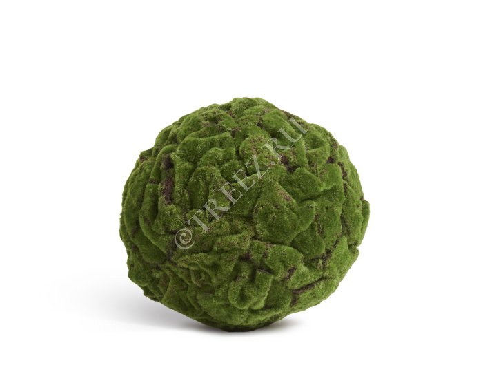 Шар из мха (Арт-объект) фото