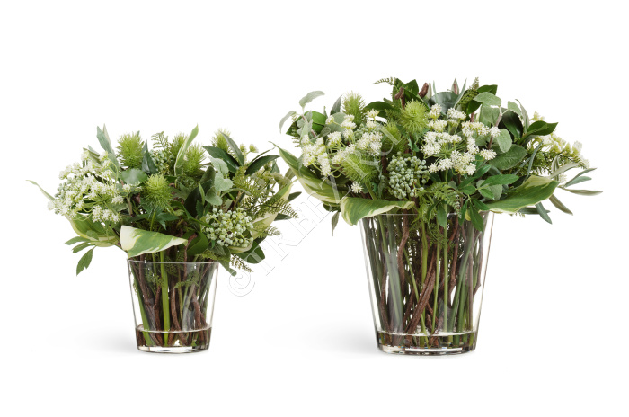 "Green Lifestyle" Big в стеклянной вазе с водой фото