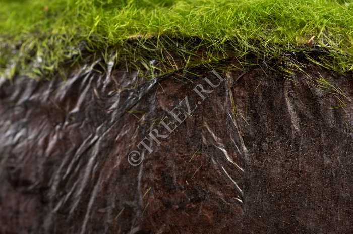 Орхидея Цимбидиум куст белый 3 ветки с имитацией земли (без кашпо) фото