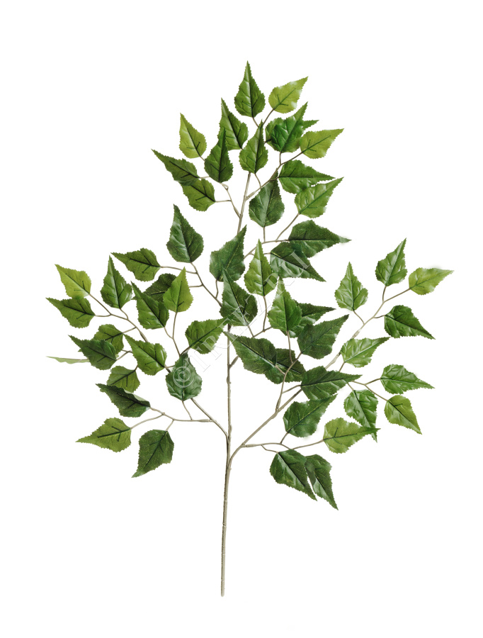 Ветка березы 65 см фото