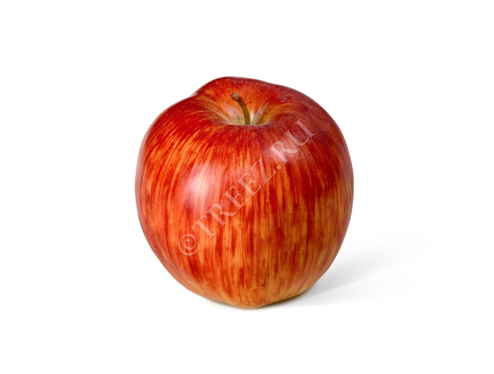 Яблоко красно-жёлтое фото