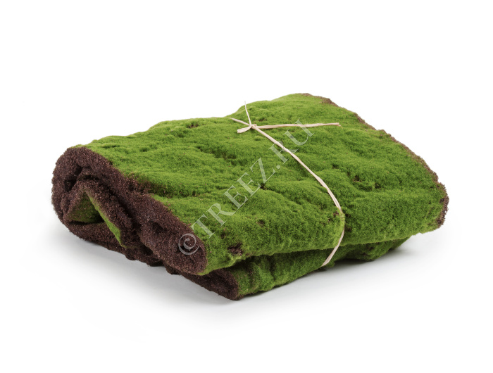 Мох в рулоне фото