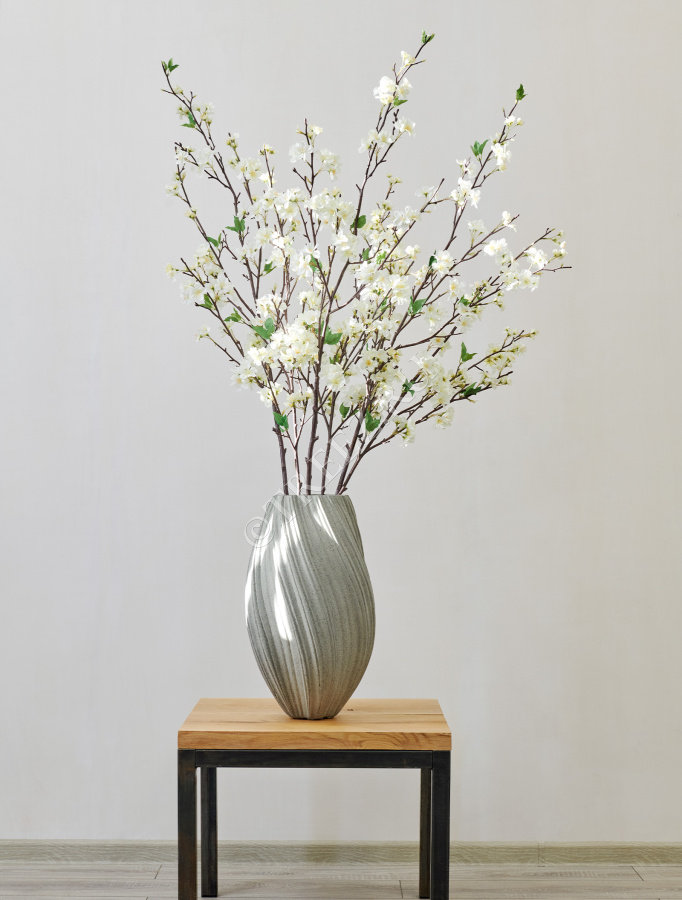 Ветка Сакуры белая Дворец императора средняя фото