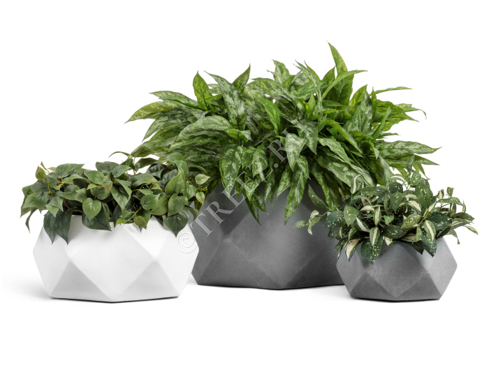 Кашпо TREEZ ERGO - Rombo - Низкая чаша-многогранник - Светло-серый камень фото