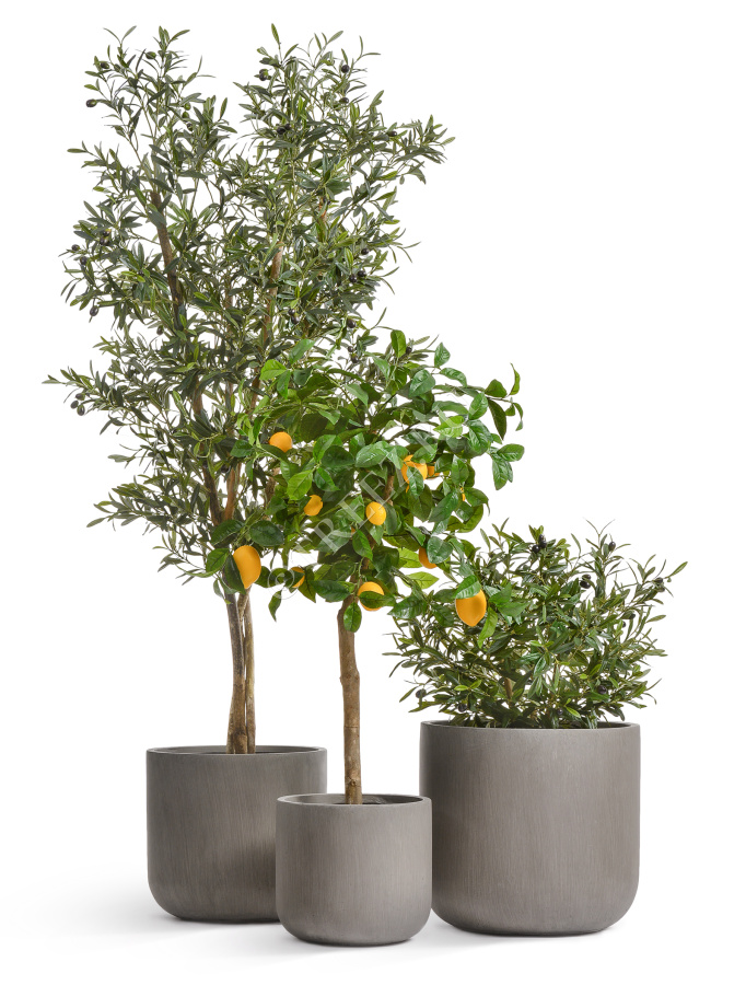 Кашпо TREEZ ERGO - Just - Цилиндр - Мокко фото