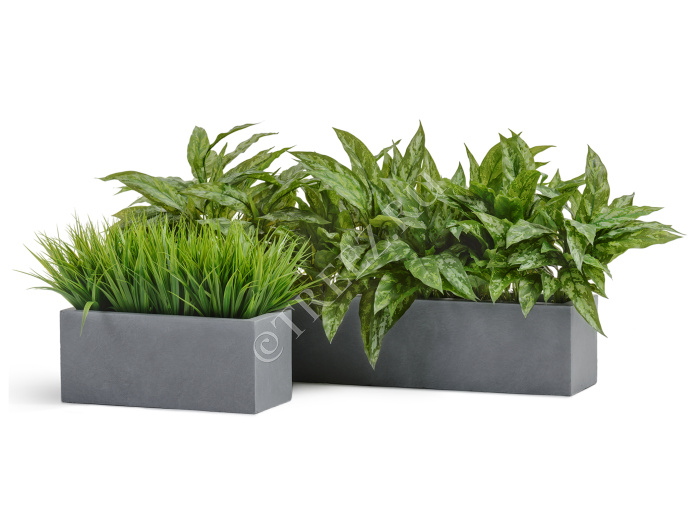 Кашпо TREEZ ERGO - Just - Узкий низкий прямоугольник - Светло-серый камень фото