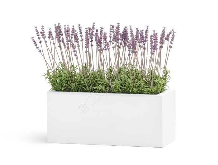 Кашпо TREEZ ERGO - Just - Узкий низкий прямоугольник - Белый камень фото