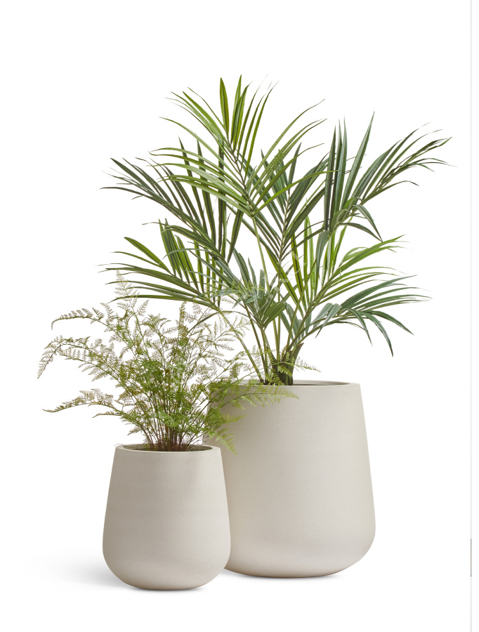 Кашпо TREEZ ERGO - Fine Rock - Design-чаша - Белый камень фото