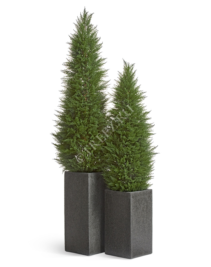 Кашпо TREEZ Effectory - Stone - Высокий куб - Тёмно-серый камень фото