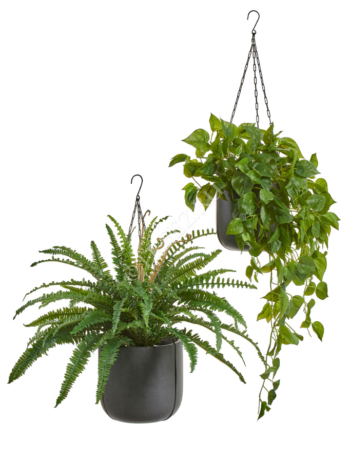 Кашпо TREEZ Effectory - Beton - Чаша подвесная - Тёмно-серый бетон фото