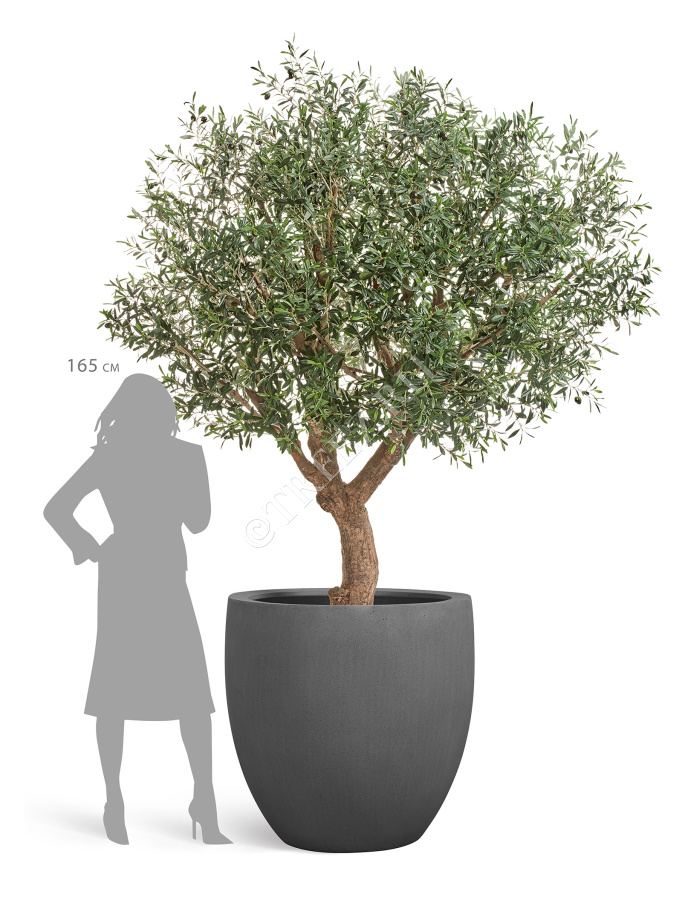 Кашпо TREEZ Effectory - Beton - Большой округлый конус - Тёмно-серый бетон фото