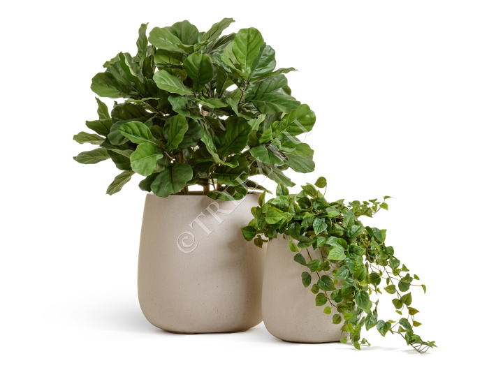 Кашпо TREEZ Effectory - Beton - Design-Чаша - Белый песок фото