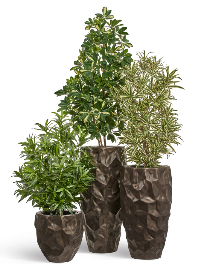 Кашпо TREEZ Effectory - Metal - Высокий округлый конус Design Crumple - Чернёная бронза фото