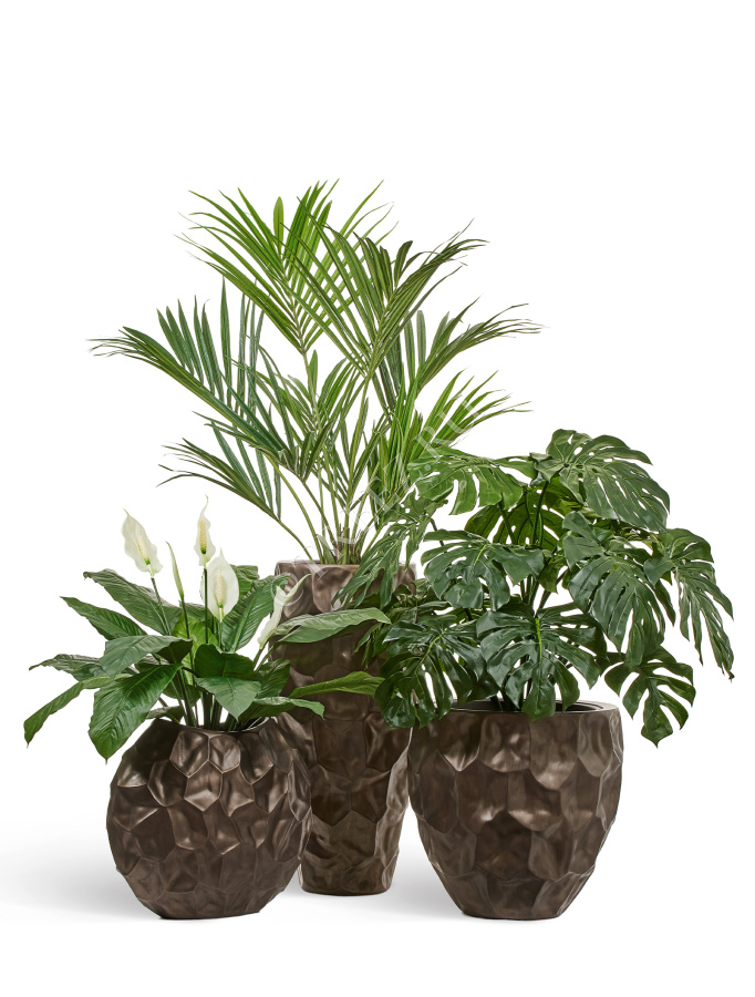 Кашпо TREEZ Effectory - Metal - Высокий округлый конус Design Crumple - Чернёная бронза фото