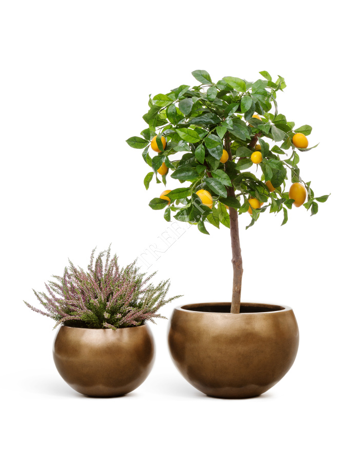 Кашпо TREEZ Effectory - Metal - Полусфера - Тёмное матовое золото фото