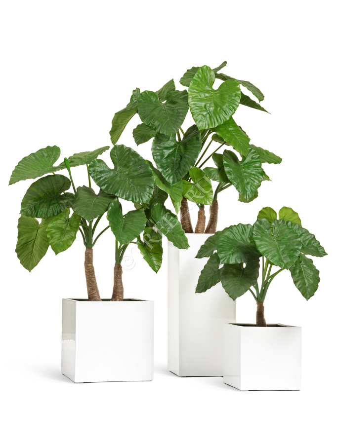 Кашпо TREEZ Effectory - Gloss - Высокий куб - Белый глянцевый лак фото