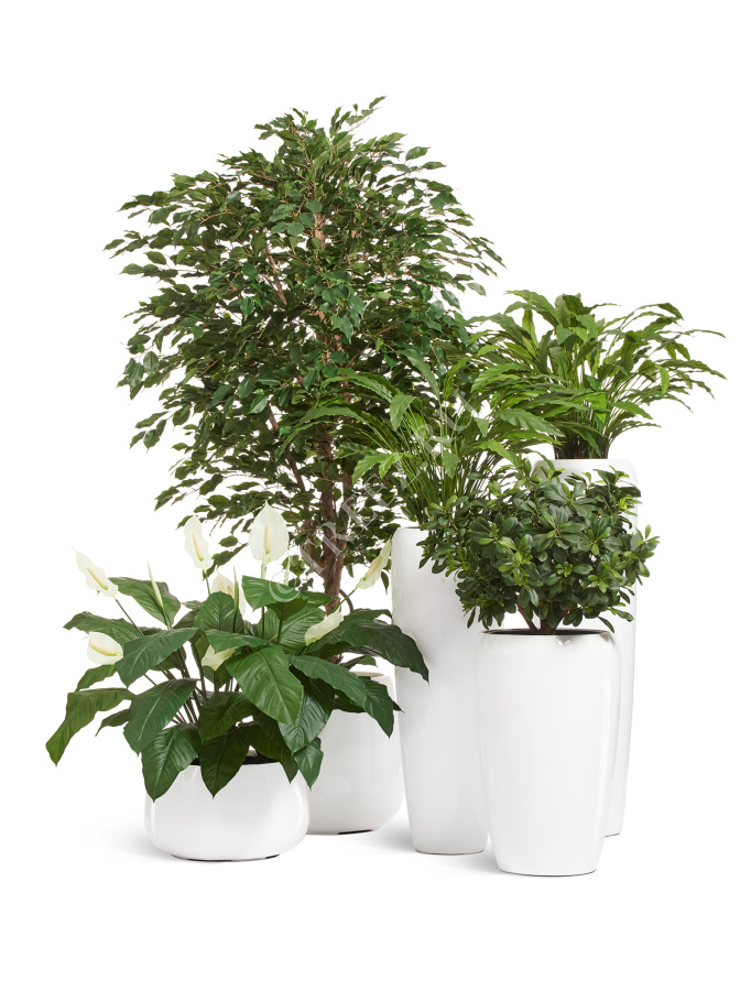 Кашпо TREEZ Effectory - Gloss - Высокий округлый конус - Белый глянцевый лак фото