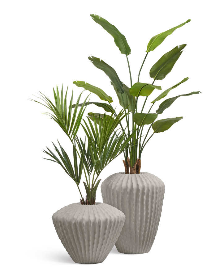 Сет № 31 - Композиция со Стрелицией и Пальмой Ховея в кашпо Treez Effectory Moho фото