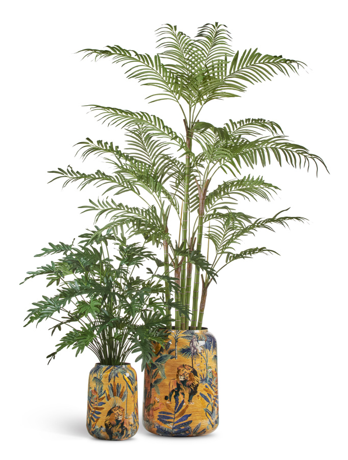 Сет № 54 - Композиция с Пальмой Бамбуковой и Филодендроном в кашпо Treez Effectory Savage Garden фото