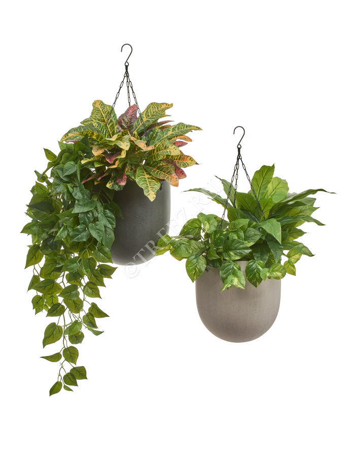 Сет № 74 - Композиция в подвесных кашпо Treez Effectory Beton фото