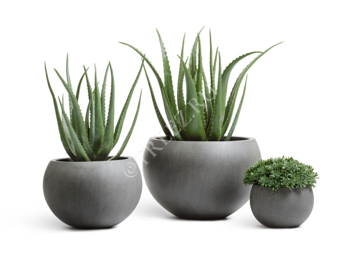 Сет № 86 - Композиция с алоэ в кашпо Treez Effectory Beton фото