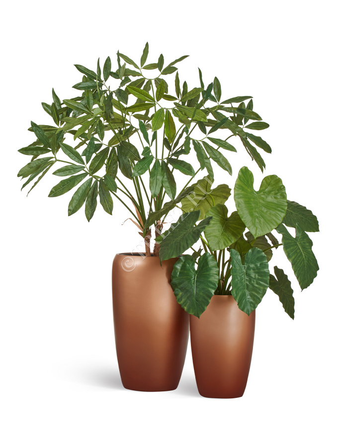 Сет № 100 - Композиция с филодендроном в матовых кашпо Treez Effectory Metal фото