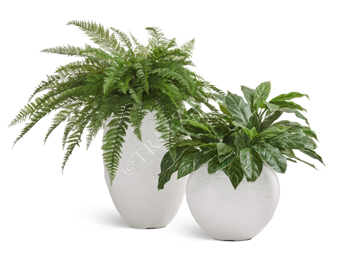 Сет № 114 - Композиция с папоротником в кашпо Treez Effectory Organic фото