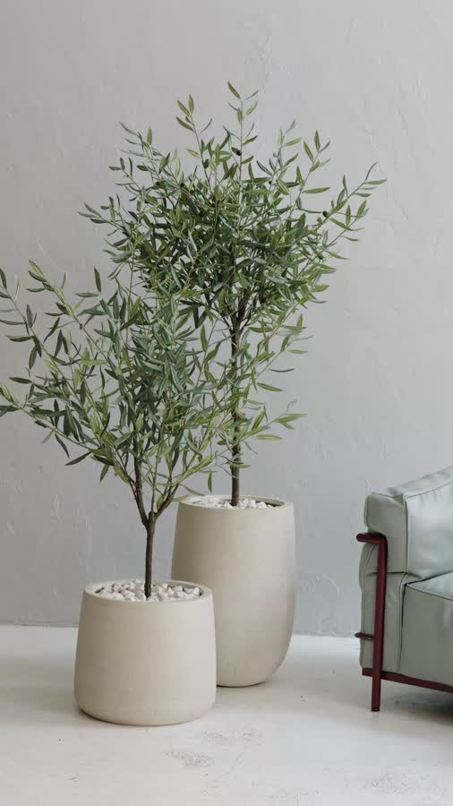 Олива Топиари Шар (серия Prime) фото