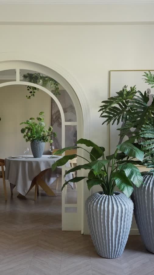 Филодендрон Селло Лардж куст фото