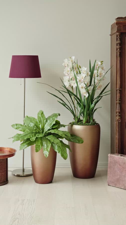 Кашпо TREEZ Effectory - Metal - Высокий округлый конус - Лаковое тёмное золото фото