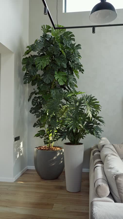 Кашпо TREEZ Effectory - Beton - Высокий конус - Белый песок фото