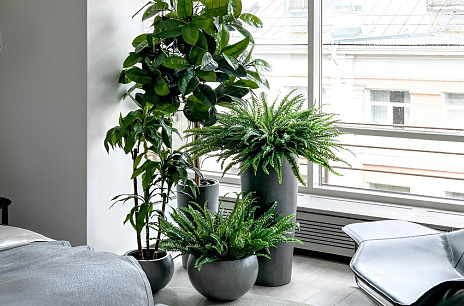 Интервью журналу MyDecor Russia. Поговорили о трендах - озеленение и современный интерьер